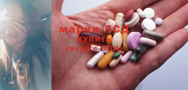 ПСИЛОЦИБИНОВЫЕ ГРИБЫ Аркадак