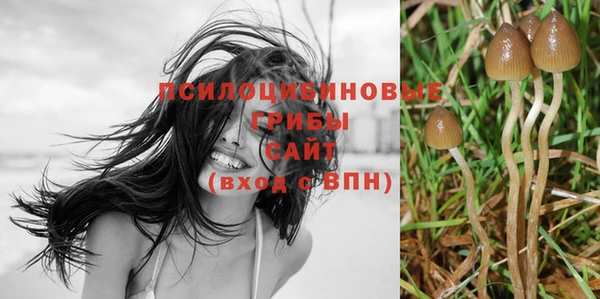 гашик Армянск