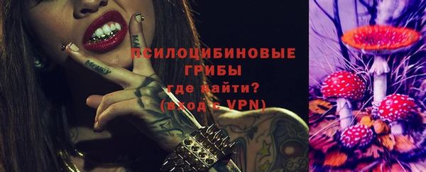 ПСИЛОЦИБИНОВЫЕ ГРИБЫ Аркадак