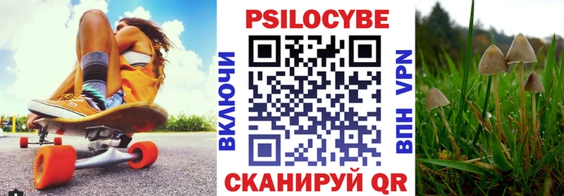 купить наркотик  Карабаш  Галлюциногенные грибы мицелий 